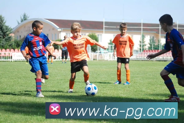 多媒体互动体验